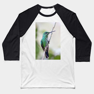 Green-crowned Brilliant hummingbird - Costa Rica Baseball T-Shirt